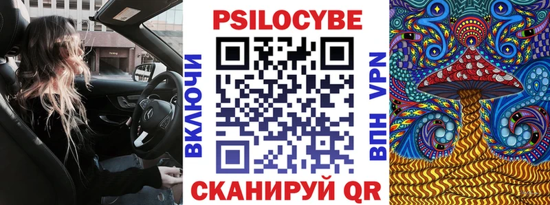 цена Нижний Новгород Галлюциногенные грибы GOLDEN TEACHER